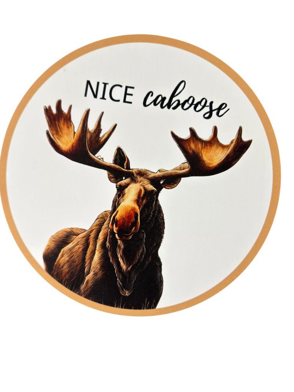 Funny Farmhouse Bathroom Wall Decor Set of 3 Cow - Bear - Moose Signs 9.75" - Picture 4 of 8
